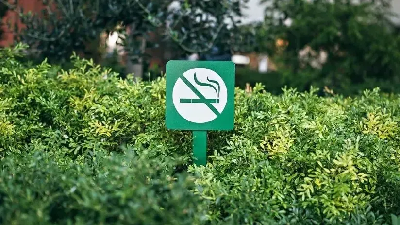 8 effective ways to quit smoking.
